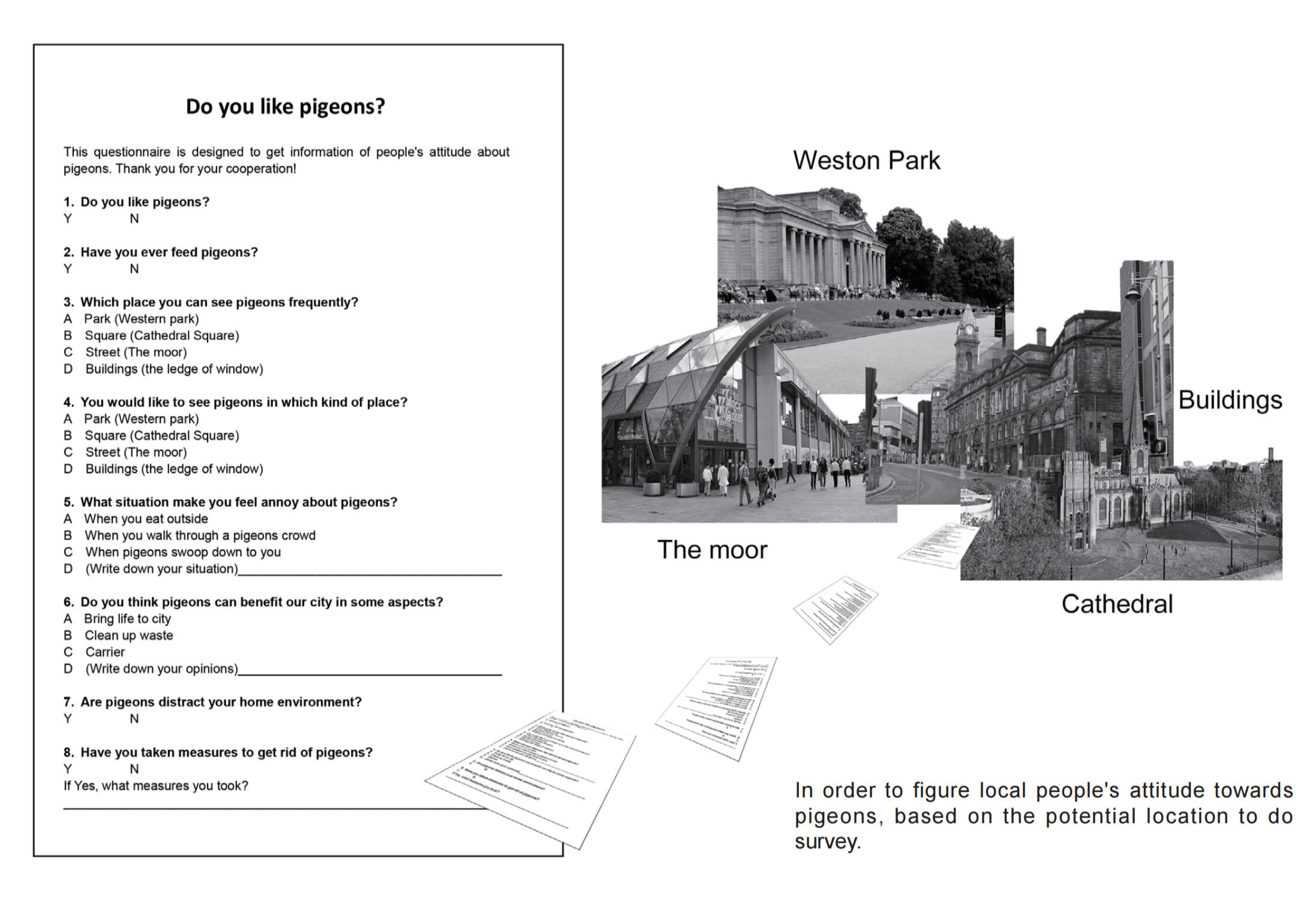 Pigeon Preference Questionnaire Survey